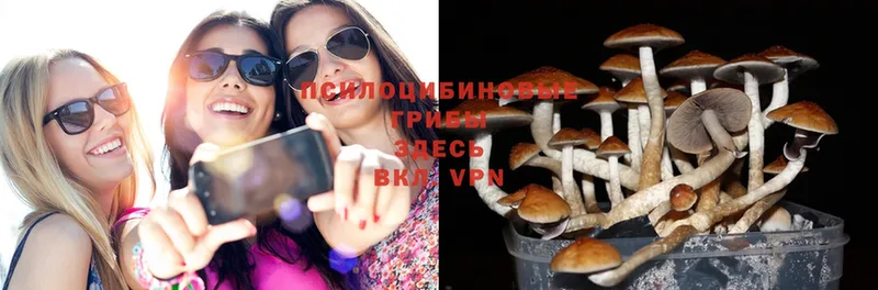 Галлюциногенные грибы MAGIC MUSHROOMS  Белинский 